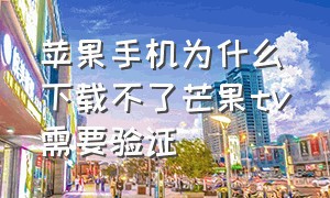 苹果手机为什么下载不了芒果tv需要验证