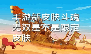 手游新皮肤斗魂无双是不是限定皮肤（斗魂无双皮肤哪个特效最好）