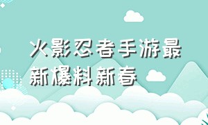 火影忍者手游最新爆料新春