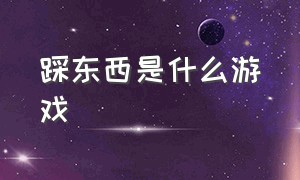 踩东西是什么游戏（踩东西的游戏叫什么）