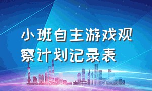 小班自主游戏观察计划记录表（幼儿园小班自主游戏活动观察记录表）