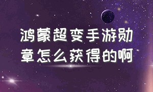 鸿蒙超变手游勋章怎么获得的啊（鸿蒙超变手游勋章怎么获得的啊知乎）