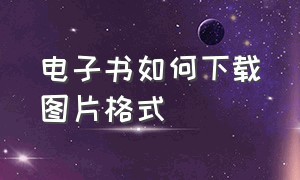 电子书如何下载图片格式