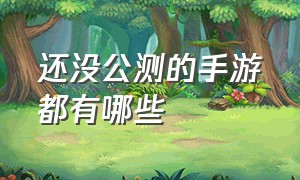 还没公测的手游都有哪些（目前正在内测的手游有什么）