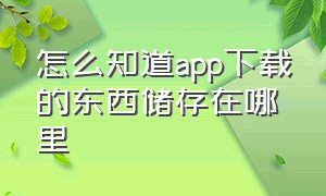 怎么知道app下载的东西储存在哪里