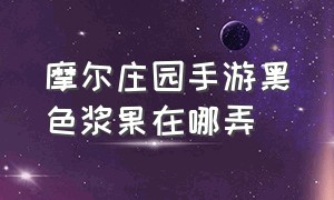 摩尔庄园手游黑色浆果在哪弄