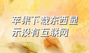 苹果下载东西显示没有互联网