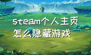 steam个人主页怎么隐藏游戏（steam怎么隐藏自己的游戏详情）