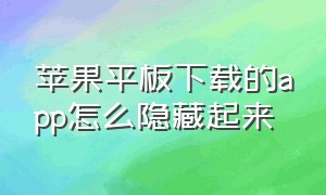 苹果平板下载的app怎么隐藏起来