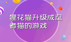 狸花猫升级成忍者猫的游戏（从布偶熊变成黑山老妖的游戏）