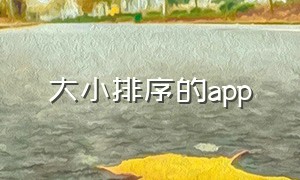 大小排序的app