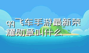 qq飞车手游最新荣耀勋章叫什么