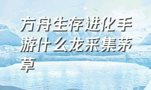 方舟生存进化手游什么龙采集茅草