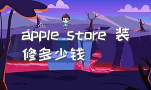 apple store 装修多少钱
