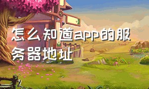 怎么知道app的服务器地址