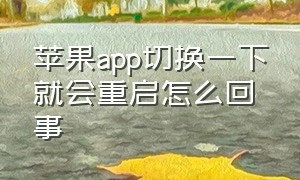 苹果app切换一下就会重启怎么回事