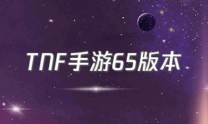 TNF手游65版本