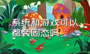 系统和游戏可以都装固态吗