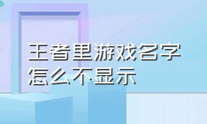 王者里游戏名字怎么不显示