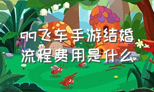 qq飞车手游结婚流程费用是什么