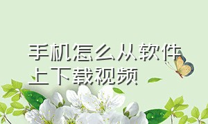 手机怎么从软件上下载视频