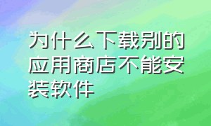 为什么下载别的应用商店不能安装软件