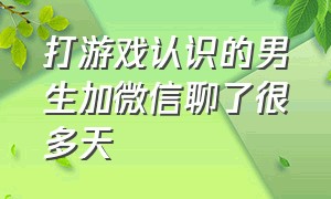 打游戏认识的男生加微信聊了很多天（打游戏认识的男生加微信聊了很多天正常吗）