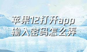 苹果12打开app输入密码怎么弄