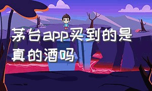 茅台app买到的是真的酒吗（茅台app预约买的茅台399元靠谱吗）