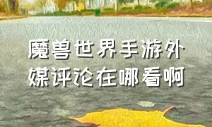 魔兽世界手游外媒评论在哪看啊（魔兽世界手游叫什么名字）