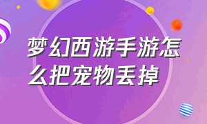 梦幻西游手游怎么把宠物丢掉