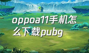 oppoa11手机怎么下载pubg（oppo怎么下载pubg手游国际服）