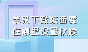 苹果下载东西要在哪里设置权限