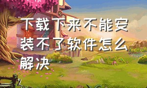 下载下来不能安装不了软件怎么解决（下载的软件无法安装怎么解决）