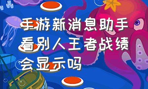 手游新消息助手看别人王者战绩会显示吗（王者荣耀助手怎么查看隐藏战绩）