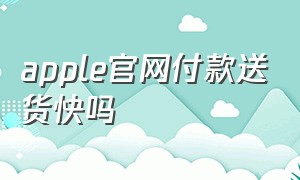 apple官网付款送货快吗