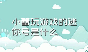 小蕾玩游戏的迷你号是什么