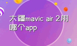 大疆mavic air 2用哪个app（大疆mavic2使用哪个app）