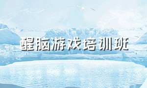 醒脑游戏培训班（学习游戏制作的培训机构）