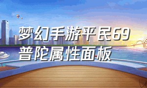 梦幻手游平民69普陀属性面板