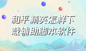 和平精英怎样下载辅助脚本软件