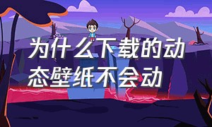 为什么下载的动态壁纸不会动