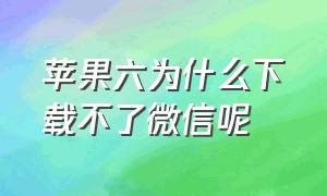 苹果六为什么下载不了微信呢（苹果六版本低怎么下载微信）