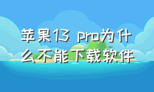 苹果13 pro为什么不能下载软件