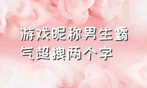 游戏昵称男生霸气超拽两个字