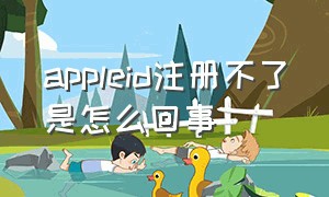 appleid注册不了是怎么回事