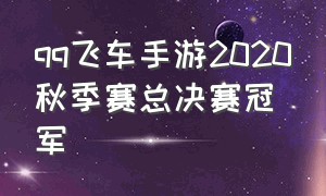 qq飞车手游2020秋季赛总决赛冠军（qq飞车手游10元1万钻）