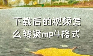 下载后的视频怎么转换mp4格式