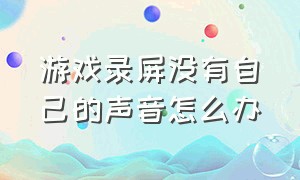 游戏录屏没有自己的声音怎么办