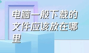 电脑一般下载的文件应该放在哪里